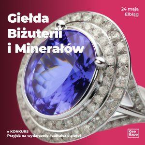 Elbląg / Bilet Normalny / 24 maja 2026