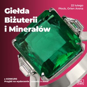 Płock / Bilet Normalny / 22 lutego 2026