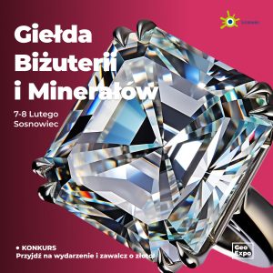 Sosnowiec / Bilet Normalny / 7-8 lutego 2026