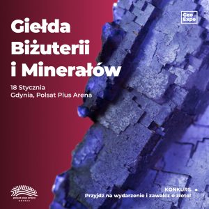 Gdynia / Bilet Normalny / 18 stycznia 2026