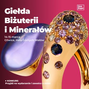 Gliwice / Bilet Normalny / 14-15 marca 2026