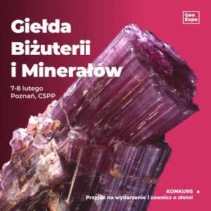 Poznań / Bilet Normalny / 7-8 lutego 2026