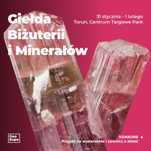 Toruń / Bilet Normalny / 31 stycznia-1 lutego 2026