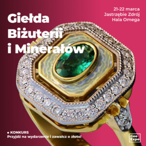 Jastrzębie Zdrój / Bilet Ulgowy / 21-22 marca 2026